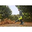 Dmuchawa bezszczotkowa WHISPER™ 18V ONE+™ w zestawie z akumulatorem 5.0 Ah i ładowarką_app_shot_5